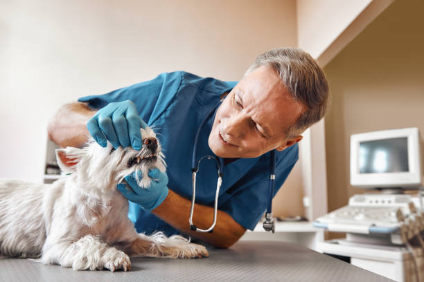 Best Pediatric Emergency Dentist in Audubon, PA