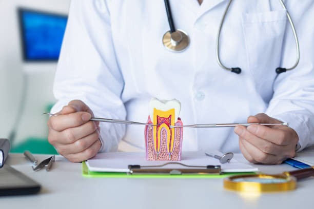 Best Emergency Dental Extractions in Audubon, PA
